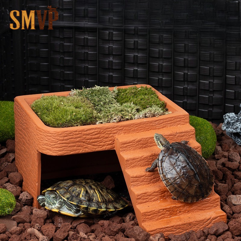Aquarium-Schildkröten-Plattfor – Hide Cave Ceramic Bewertung und Preis