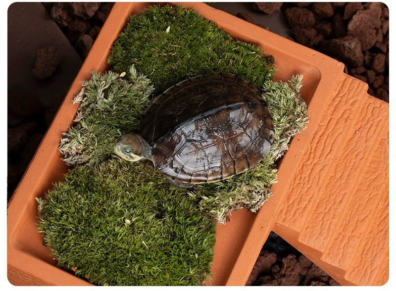 Aquarium-Schildkröten-Plattfor – Hide Cave Ceramic Bewertung und Preis