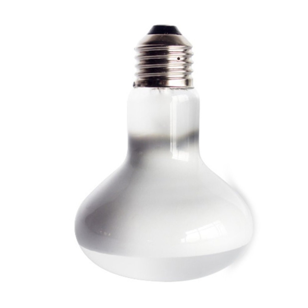 Schildkröten-Wärmelampe Heizge – Basking Bulb Halogen Bewertung und Preis