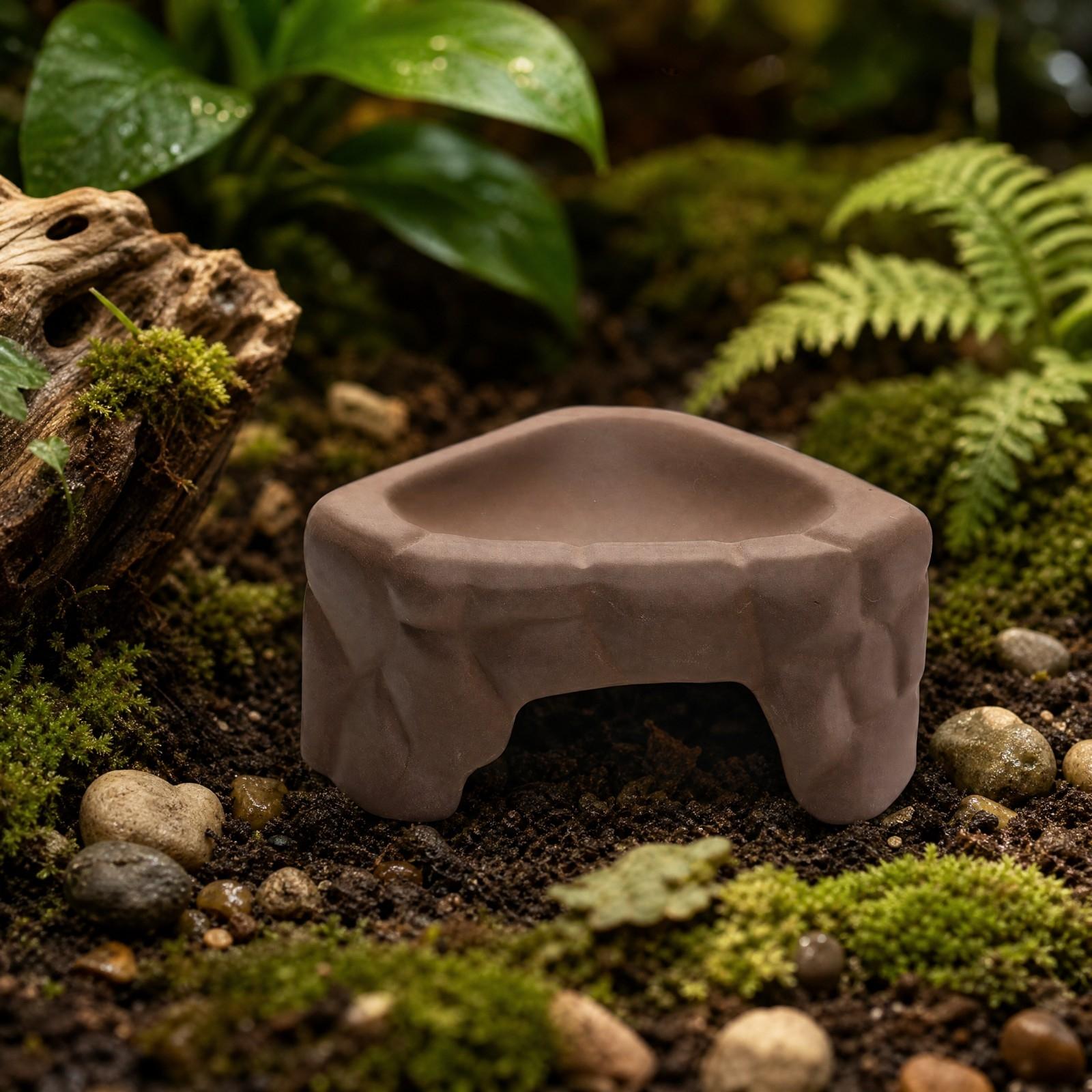 Reptilien-Futterplattform aus  – Hide Cave Ceramic Bewertung und Preis