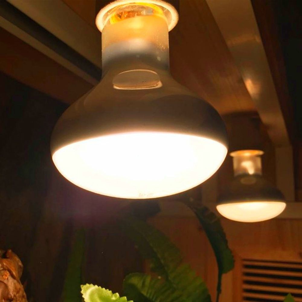 Schildkrötenheizlampe Reptilie – Basking Bulb Halogen Bewertung und Preis